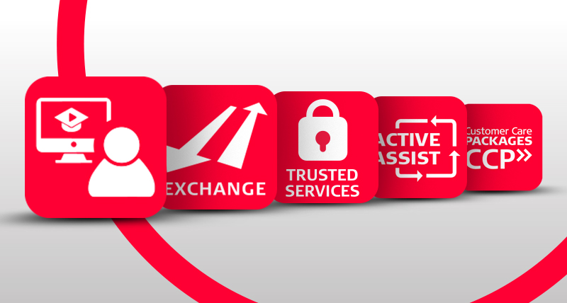 Services with continuous value